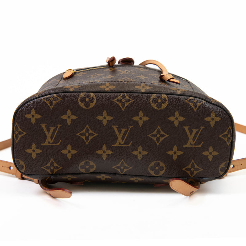 Louis Vuitton Brown Monogram Canvas Montsouris PM Backpack