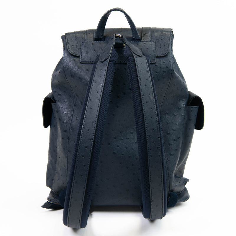 Men's Blue Ostrich Louis Vuitton Christopher Backpack