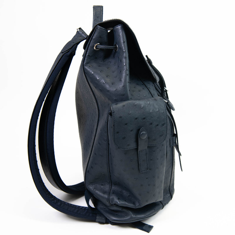 Men's Blue Ostrich Louis Vuitton Christopher Backpack