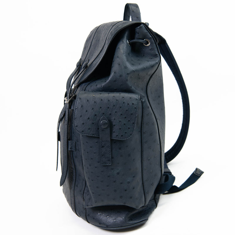 Men's Blue Ostrich Louis Vuitton Christopher Backpack