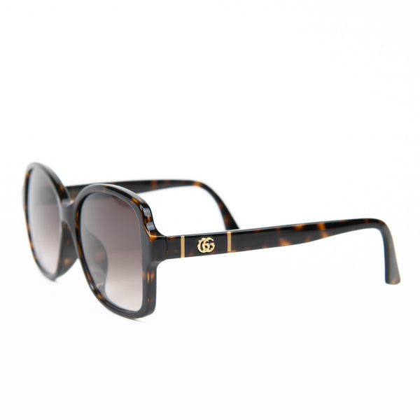 Gucci Havana Brown Acetate Square Sunglasses GG0765SA