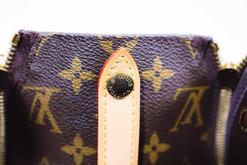 Louis Vuitton Brown Monogram Canvas Baxter Dog Carrier PM