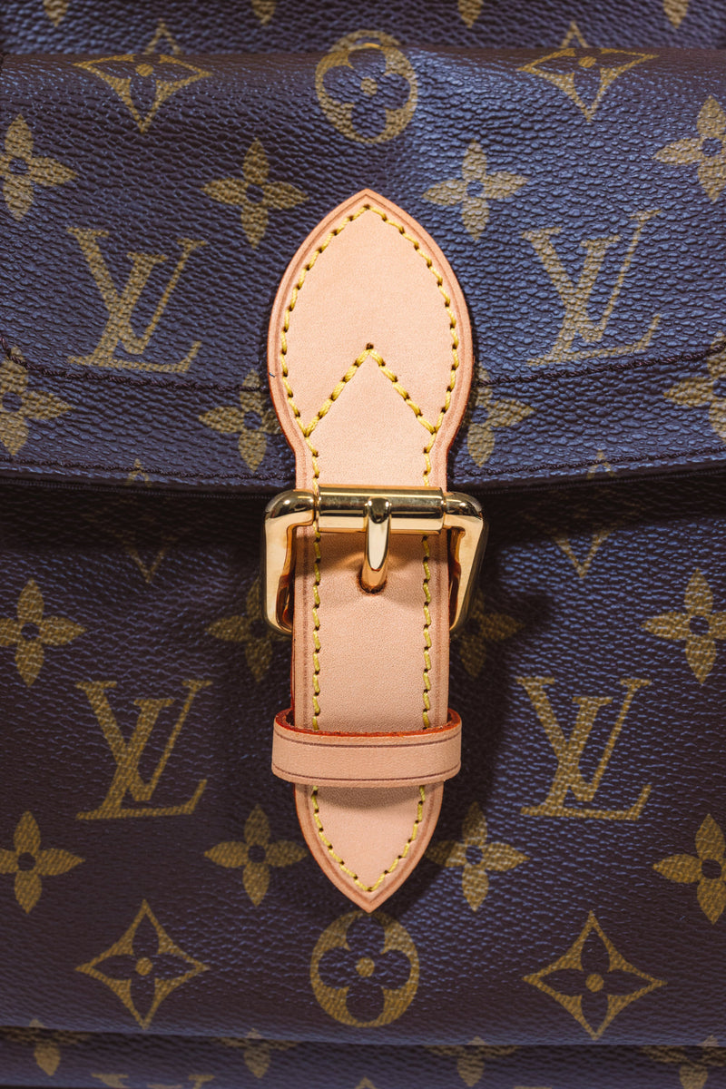 Louis Vuitton Brown Monogram Canvas Baxter Dog Carrier PM