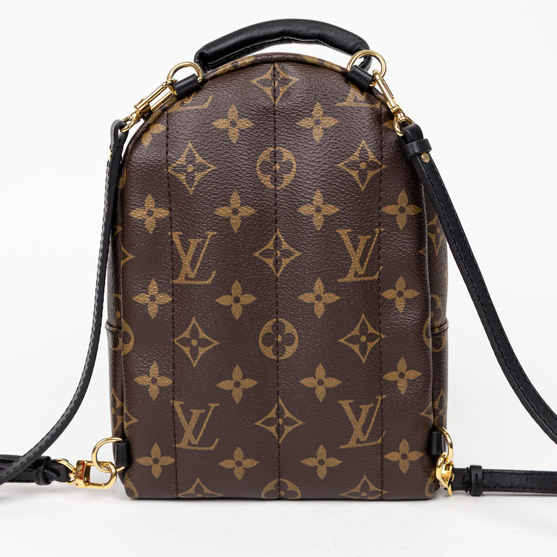 Louis Vuitton Palm Springs Mini Monogram Backpack