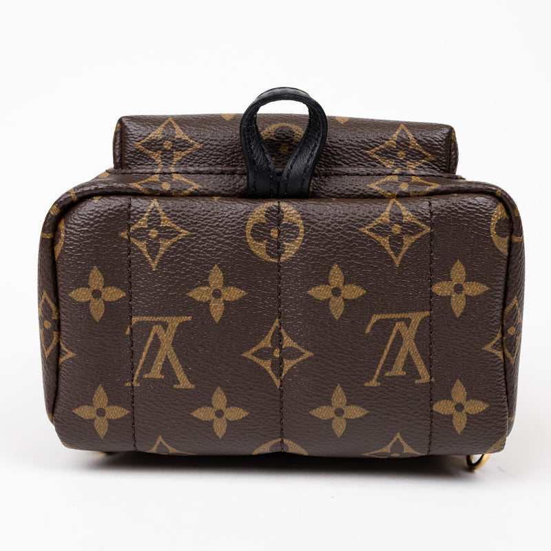 Louis Vuitton Palm Springs Mini Monogram Backpack