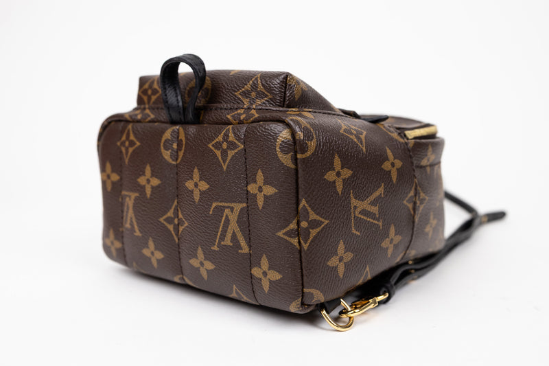 Louis Vuitton Palm Springs Mini Monogram Backpack