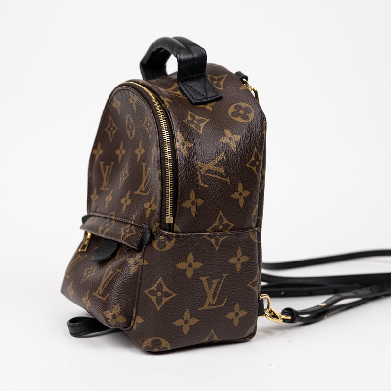 Louis Vuitton Palm Springs Mini Monogram Backpack