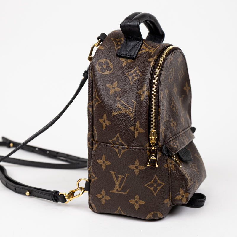 Louis Vuitton Palm Springs Mini Monogram Backpack