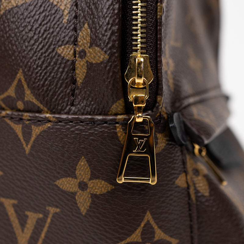 Louis Vuitton Palm Springs Mini Monogram Backpack
