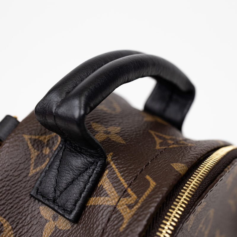 Louis Vuitton Palm Springs Mini Monogram Backpack