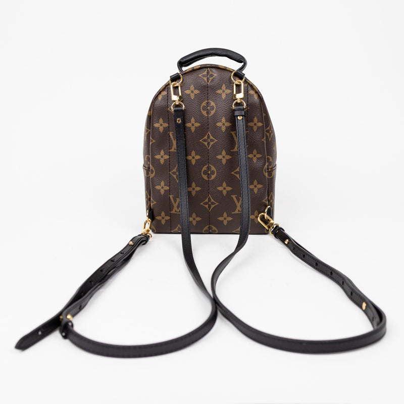 Louis Vuitton Palm Springs Mini Monogram Backpack