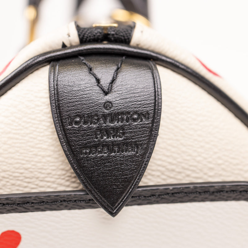 Louis Vuitton Game On Speedy 25 Multicolor