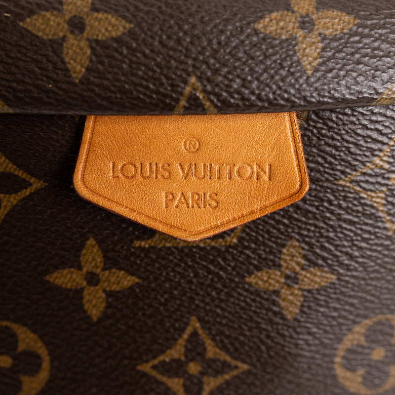 Louis Vuitton Brown Monogram Bumbag
