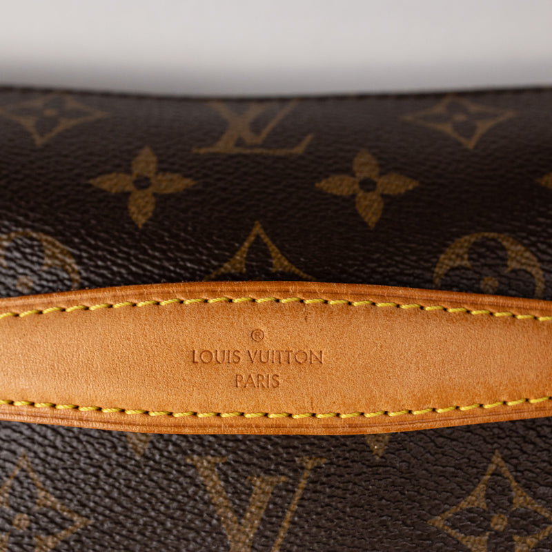 Louis Vuitton Brown Monogram Bumbag