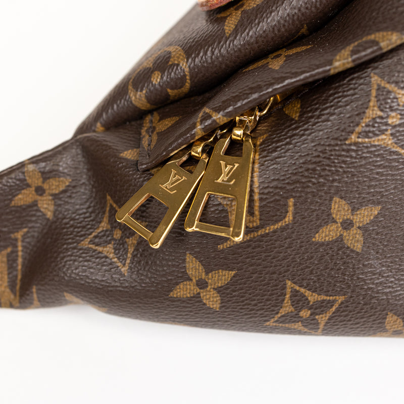 Louis Vuitton Brown Monogram Bumbag