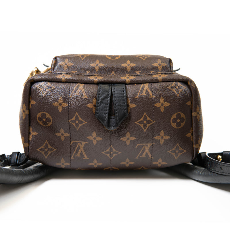 Louis Vuitton Brown Monogram Canvas Palm Springs Backpack PM